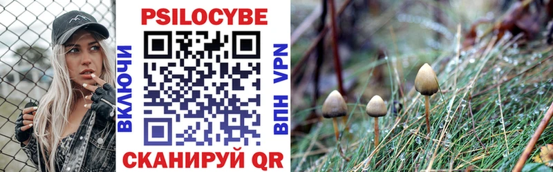 Галлюциногенные грибы ЛСД  Дрезна 